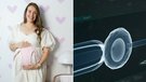 IVF doctor Daniel Potter shares why he thinks Aussies should have the right to ‘choose the sex’ of their baby  